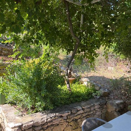 Apartments Despotovic Βις Εξωτερικό φωτογραφία