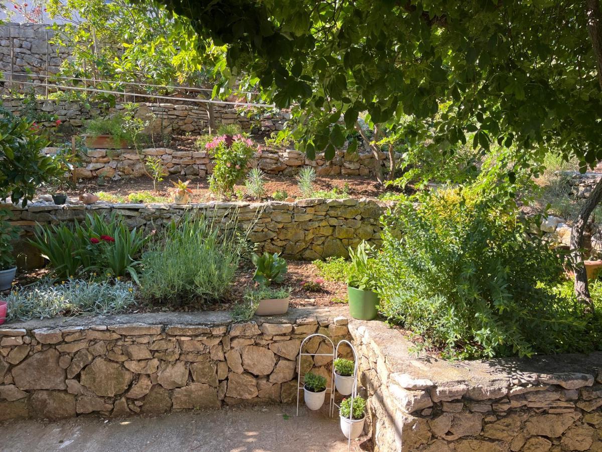 Apartments Despotovic Βις Εξωτερικό φωτογραφία